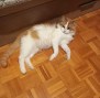 Martí (2)